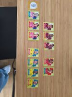 Panini 13 Stück