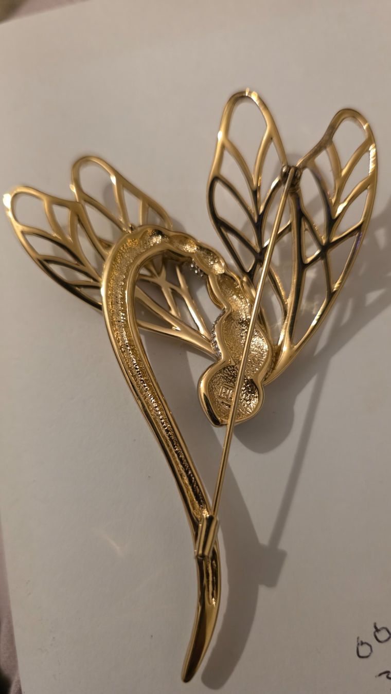 Pierre Lang Broches & Aiguilles: Pierre Lang Brosche – D'occasion à Wittenbach par rose_rosi 1