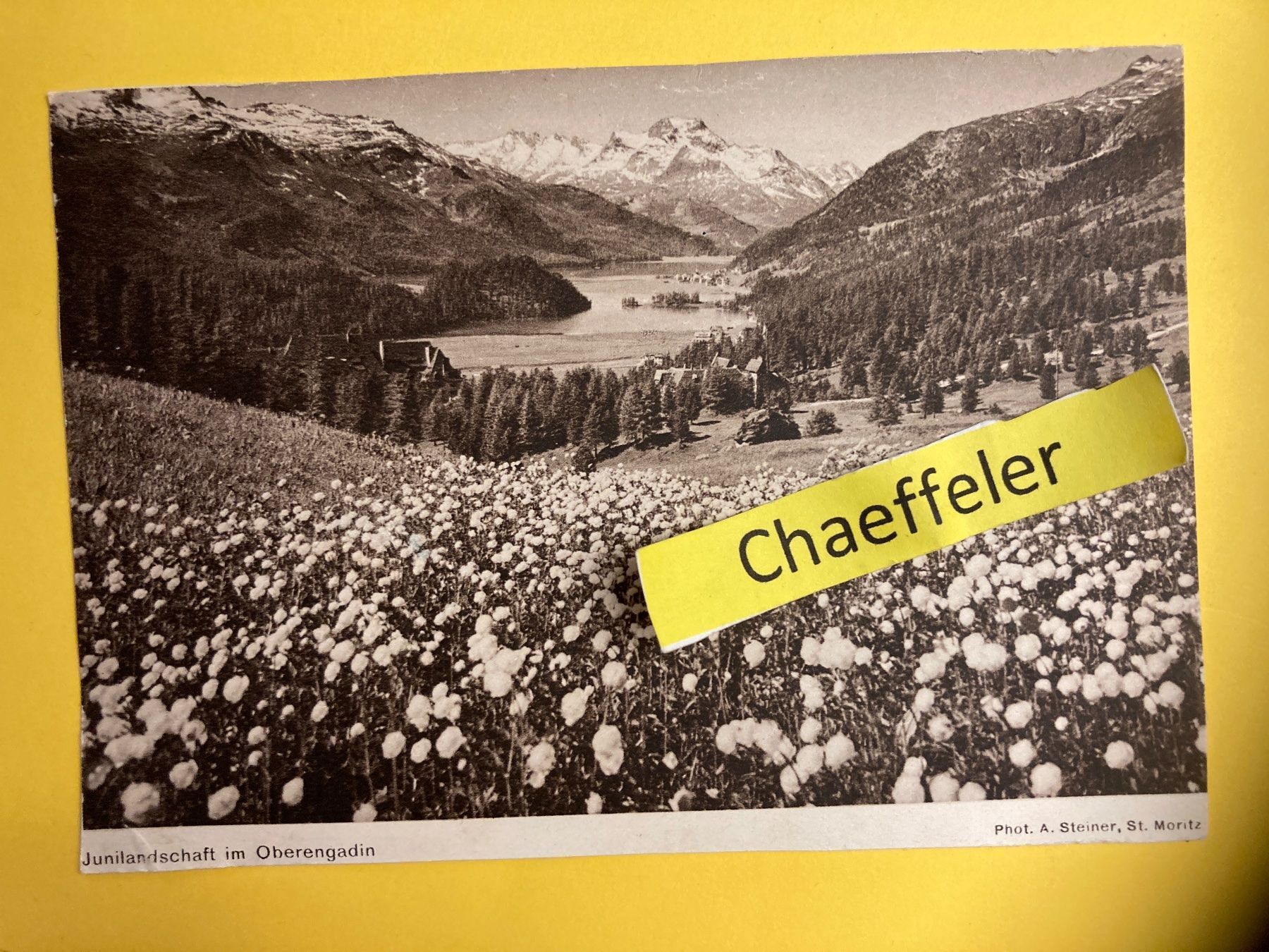 Cartoline postali: 1931 Junilandschaft im Oberengadin – Usato da Zürich venduto da Chaeffeler