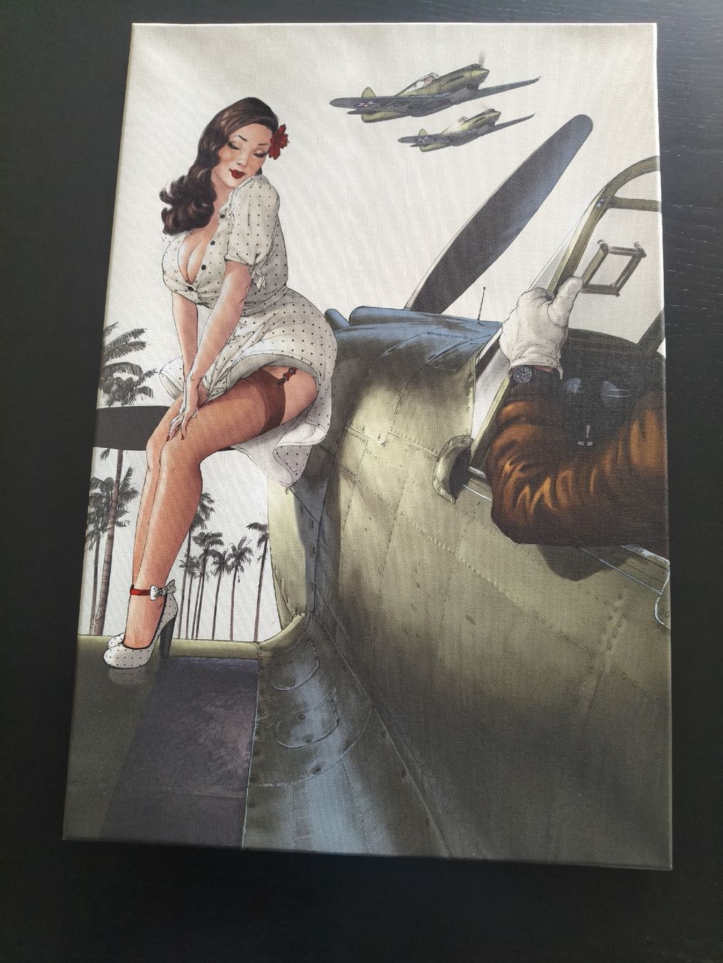 Fumetti: Tableau Pin-Up  Romain hugault – Nuovo (secondo la descrizione) da Biel/Bienne venduto da C10O75 1