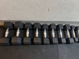 Taurus Hexagon Kurzhanteln 2.5 bis 12.5kg