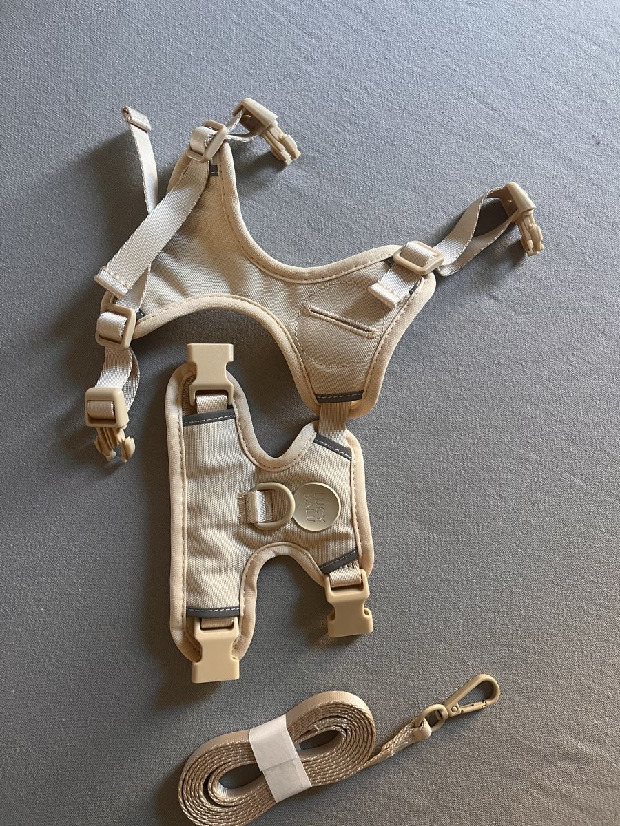 Guinzagli & Collari: LucyBalu Katzengeschirr – Nuovo (secondo la descrizione) da Zürich venduto da bre_69sy 1