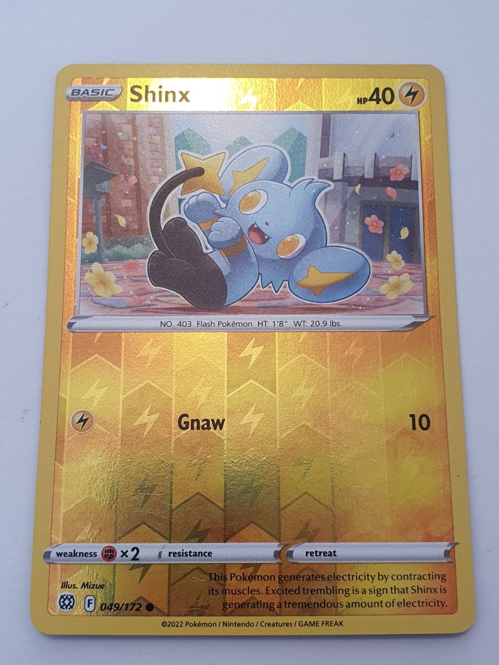 Pokémon Carte collezionabili: Shinx Pokémon 2022 / Reverse Holo – Usato da Oberdorf BL venduto da BaldenEagle
