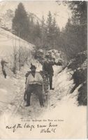 Landwirtschaft/Holzschlag im Winter 1905 Lugeage Bois FR/VD?