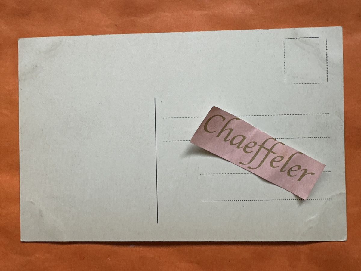 Cartoline postali: Le Honeck – Usato da Zürich venduto da Chaeffeler 1