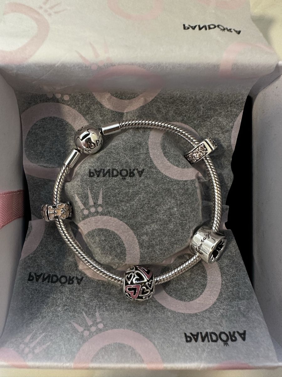 Pandora Bracciali & Braccialetti: Pandora Bracelet Silver with Charms – Nuovo e nell'imballaggio originale da Wallisellen venduto da nelli87 6