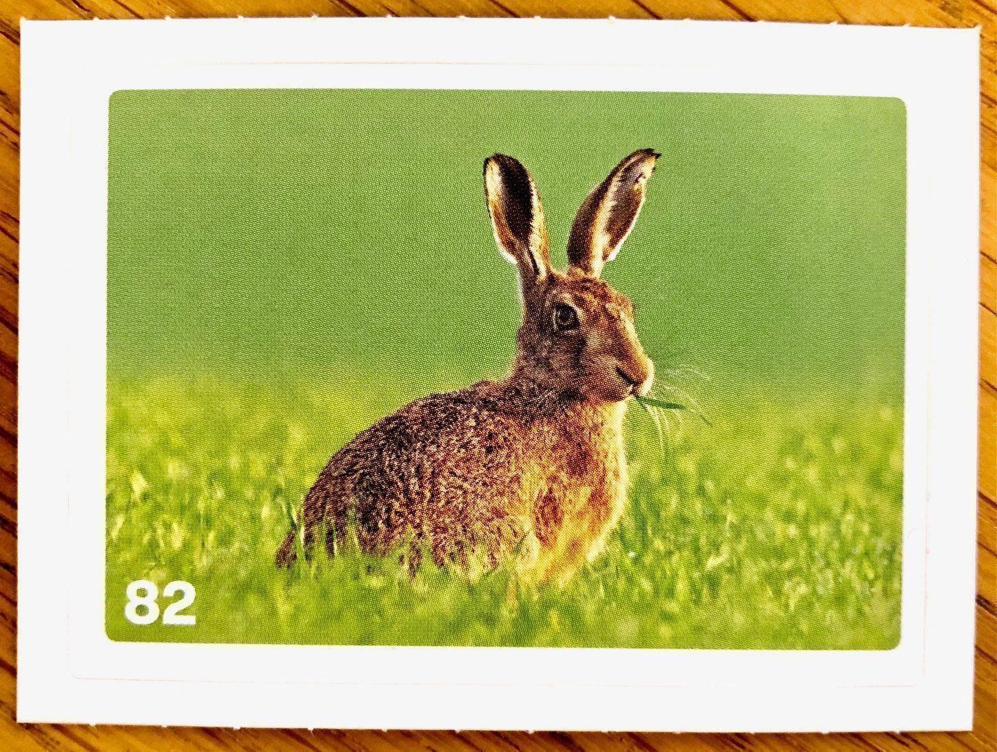 Migros Carte collezionabili: Migros Nature Detectives - Bild Nr. 82 – Nuovo (secondo la descrizione) da Oberrieden venduto da Zimmerberg10