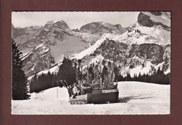 BRAUNWALD - Funi-Schlitten - 1954 // Falte //