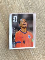 Virgil van Dijk Coca Cola Panini WM 2026