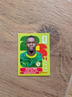 Panini Bild SEN 5
