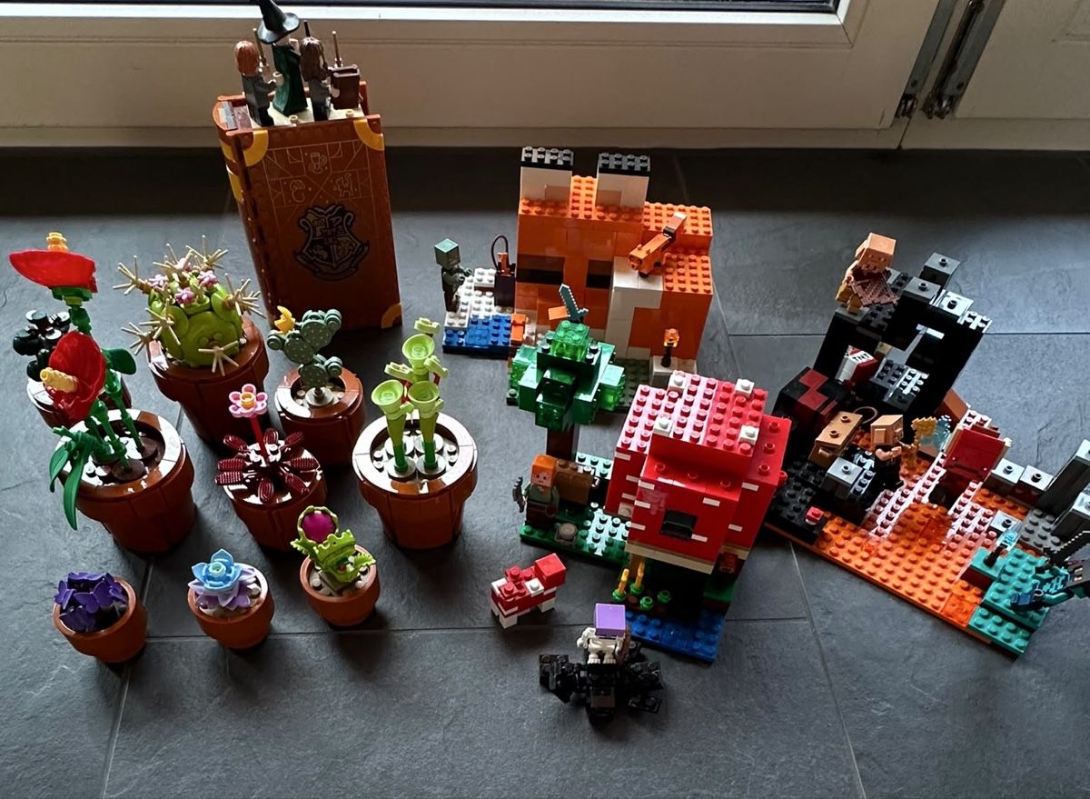 Lego Spielzeuge: Lego: Minecraft, Harry Potter, Blumen – Gebraucht aus Hemmental von Kathikag 1