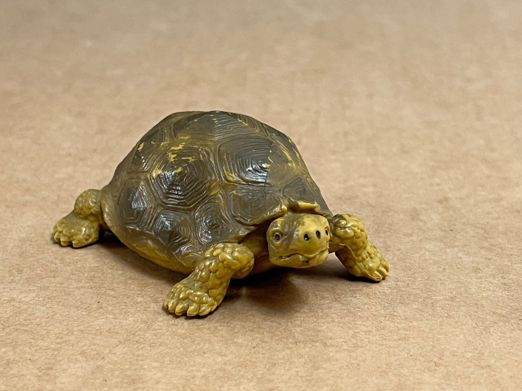 Schleich Statuette: Schleich Schildkröte 14081 von 1991 – Usato da Ennetbaden venduto da mapa05 1