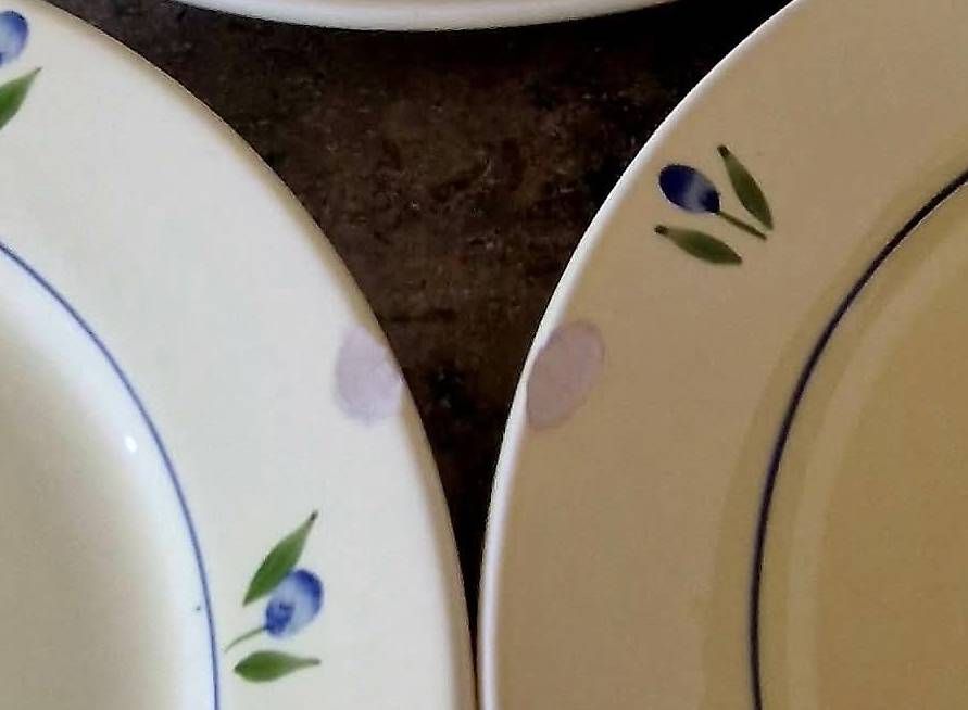 Piatti: 🍛 Assiettes plates – Usato da Thônex venduto da Swissturtle 2