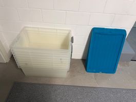 9 Stück Rotho Aufbewahrungsbox Compact 38 l