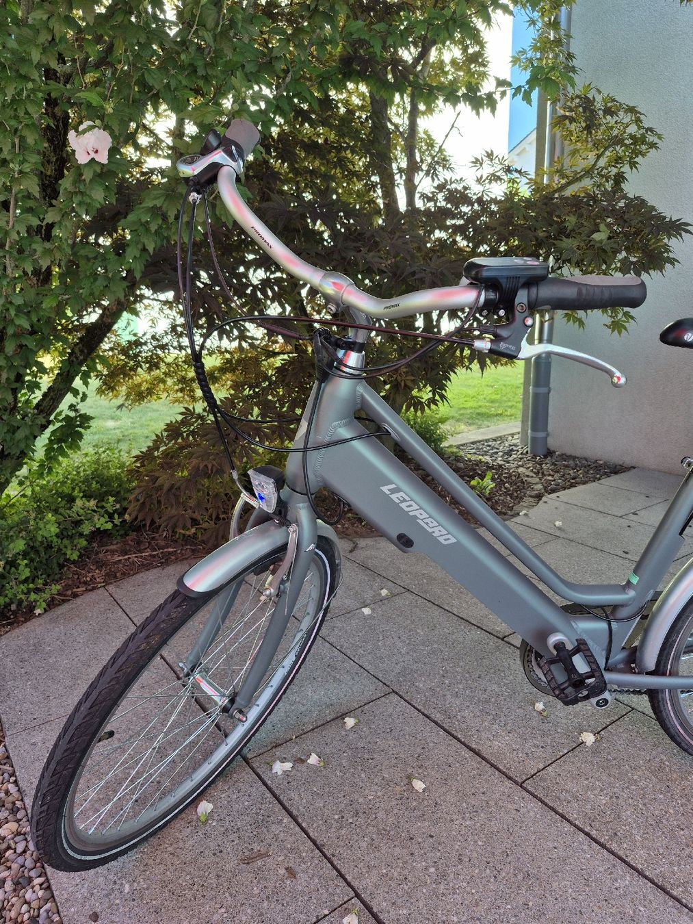 Leopard Biciclette: Leopard E-Bike Railway – Usato da Uznach venduto da dan_8m7d 1