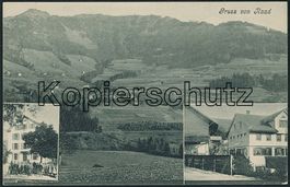 ZH Raad bei Gibswil - Wald