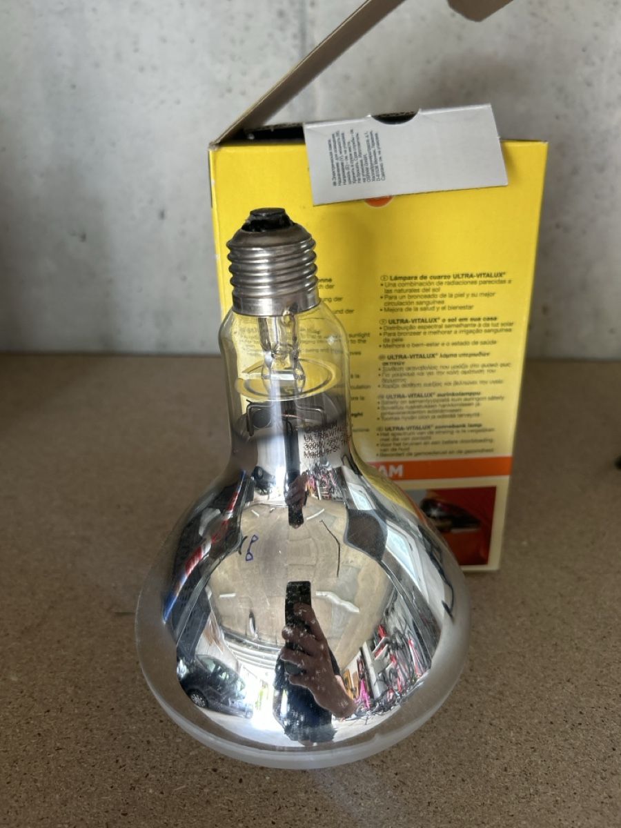 Osram Lampade: Osram Leuchtmittel – Usato da Roggliswil venduto da Huzchrutz 2