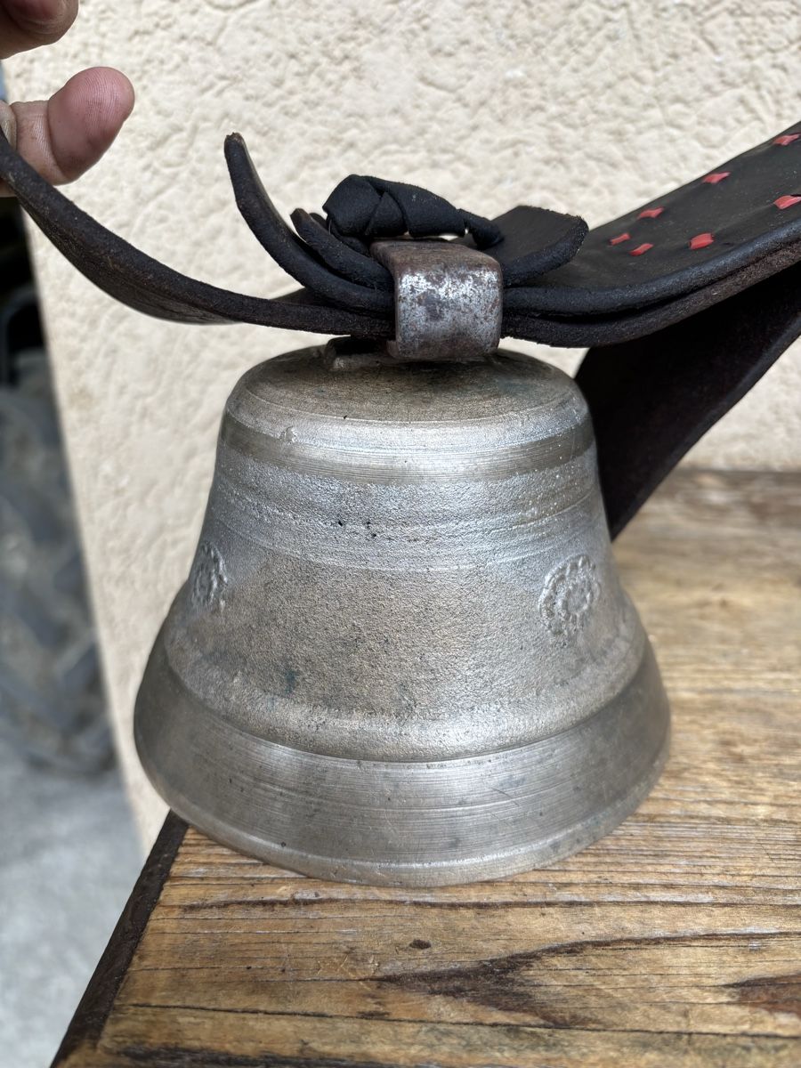 Campanacci mucche: Moser Glöggli – Usato da Schangnau venduto da Roseggli82 5