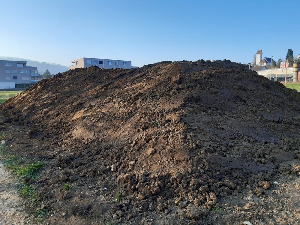 Humus, Gartenerde, Erde, Mutterboden Ab 12 m3 20.pro m3 Kaufen auf