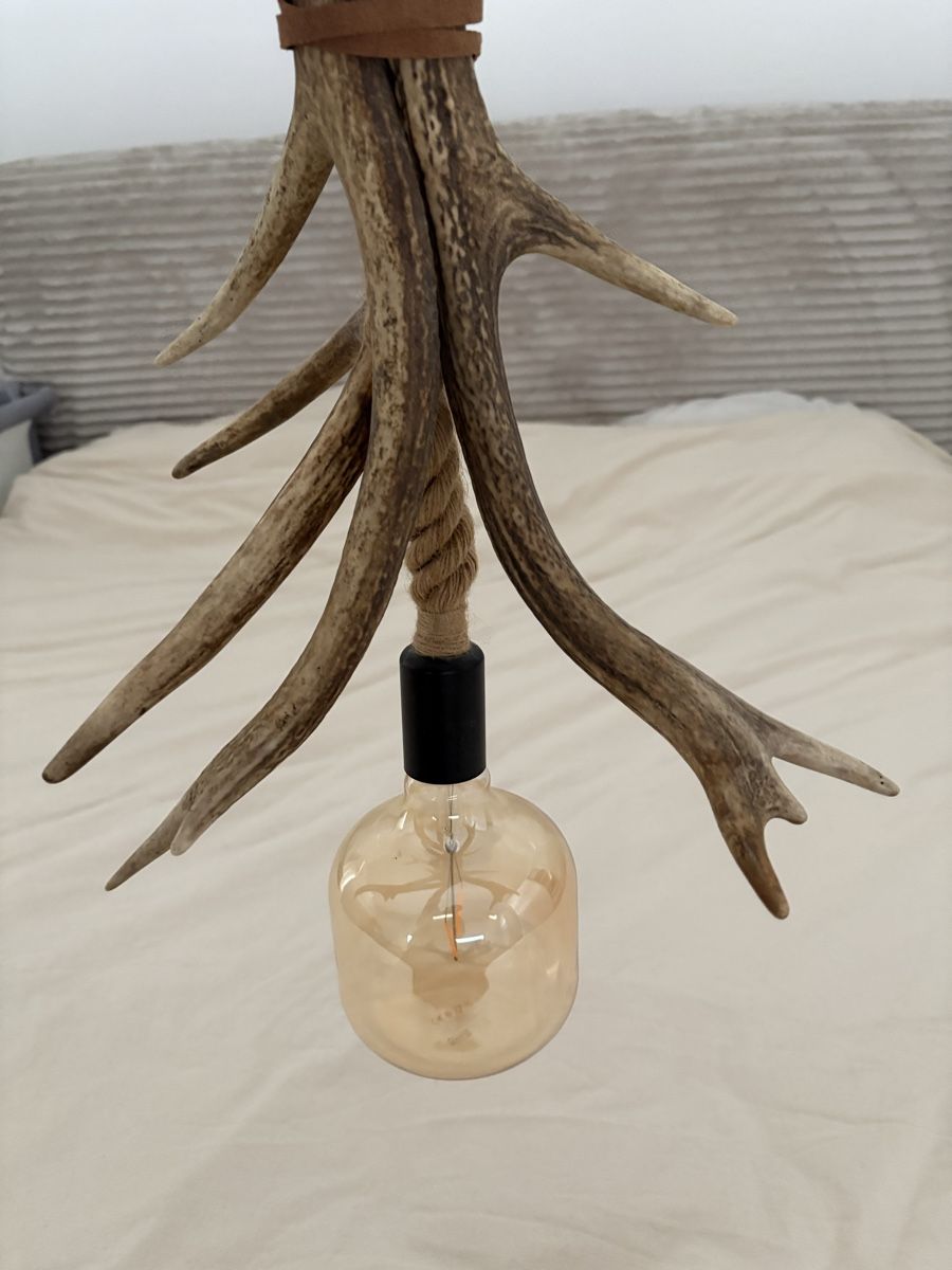Lampade: Lampe en bois de cerf véritable  – Usato da Collombey venduto da eekym.b 4