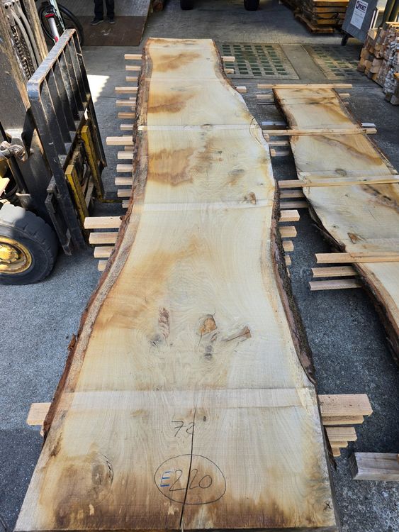 Articoli in legno: Eichenbrett Nr. 220 – Nuovo (secondo la descrizione) da Lützelflüh-Goldb venduto da ch.waelchli-holz.ch