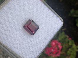 Rhondolite Natürlich aus Sri Lanka