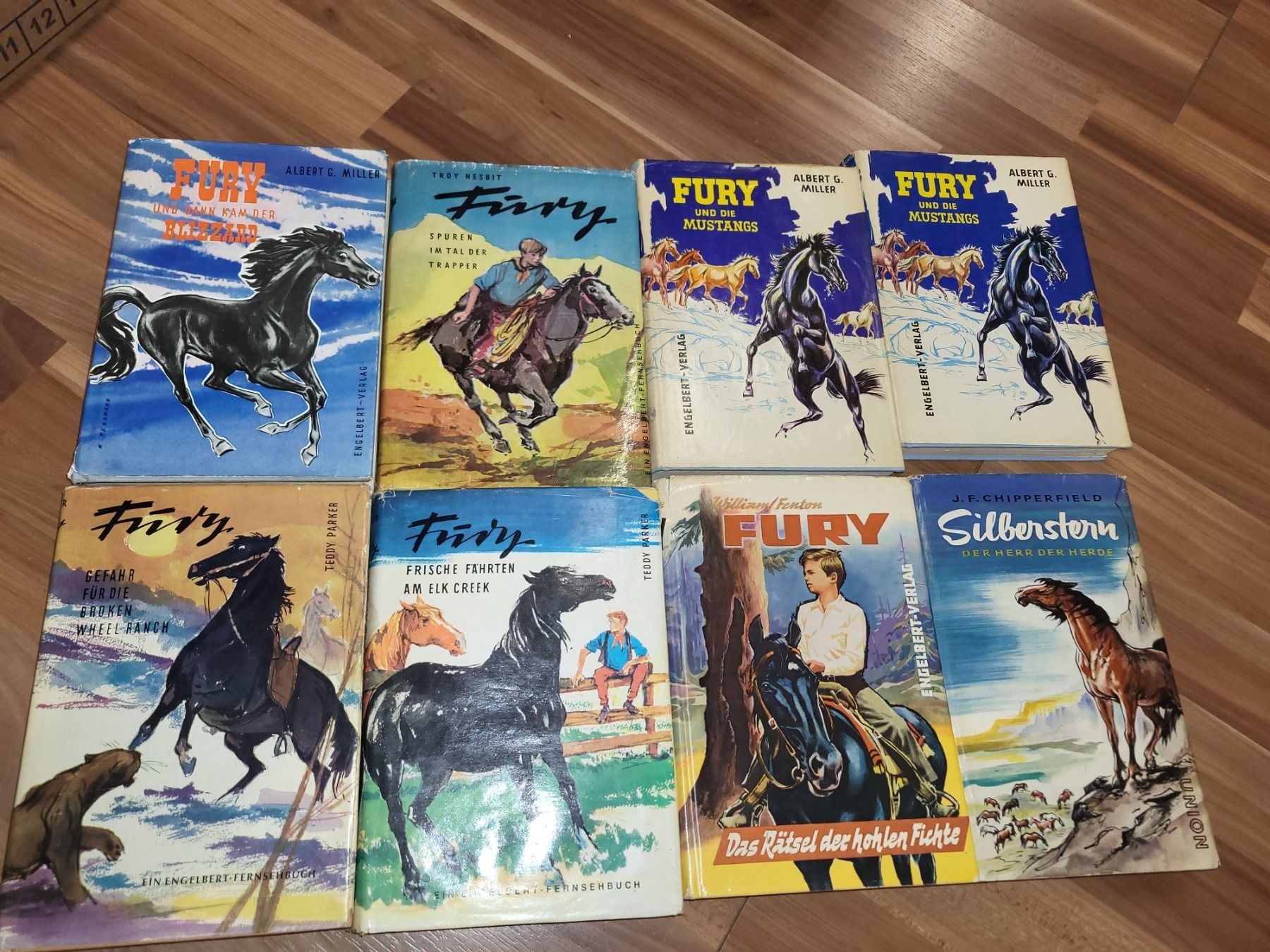 Libri: Fury und Silberstern K35 – Usato da Schwarzenburg venduto da Flamingo07