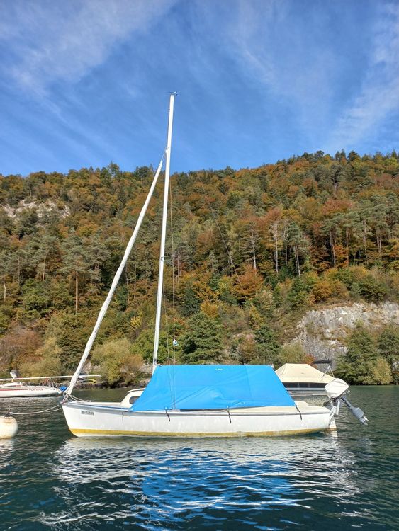 segelboot kaufen thunersee