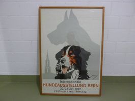Internationale Hundeausstellung Bern, Berner Sennenhund