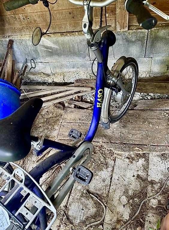 Biciclette: Dreirad für Erwachsene – Usato da Oberdorf SO venduto da Lanzinger 1