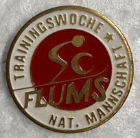 Abzeichen, Trainingswoche der Nationalmannschaft des Skiclub