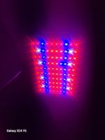 LED Pflanzenlampe Wachstumslampe Pflanzenlicht rot blau 