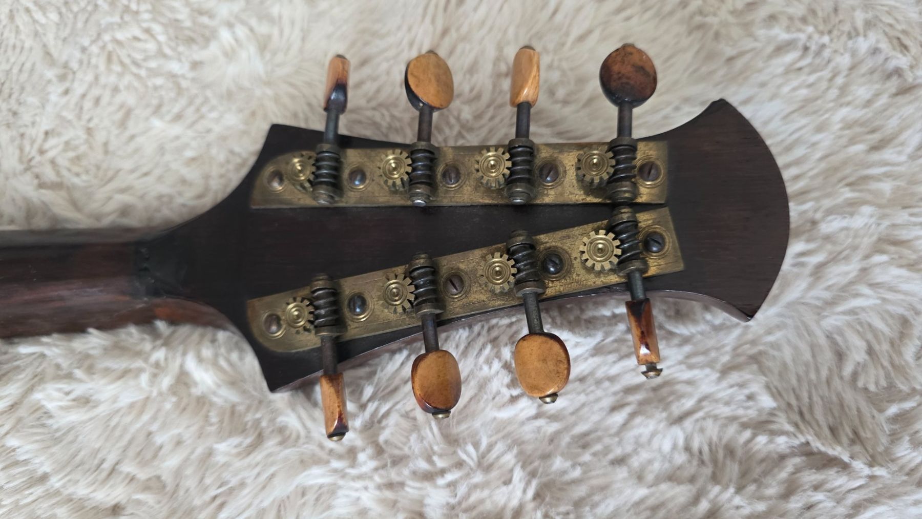 Strumenti musicali: Mandoline Calace 1899 – Usato da Wittenbach venduto da rose_rosi 8