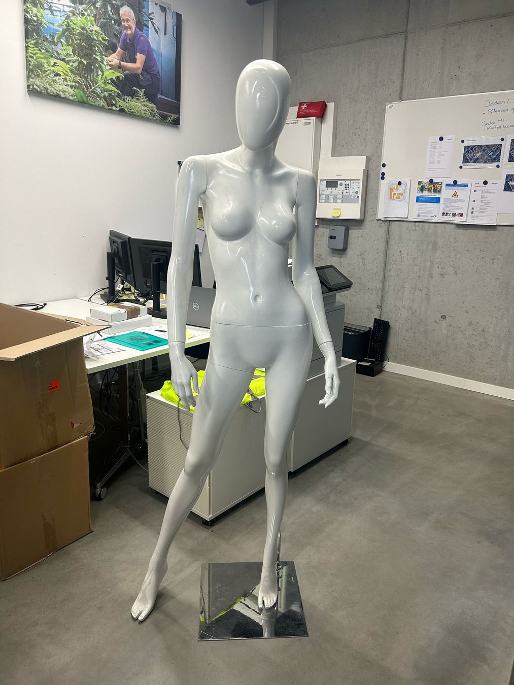 Altro in Decorazioni & Accessori: Schaufensterpuppe weiss weiblich – Usato da Nürensdorf venduto da thaswan