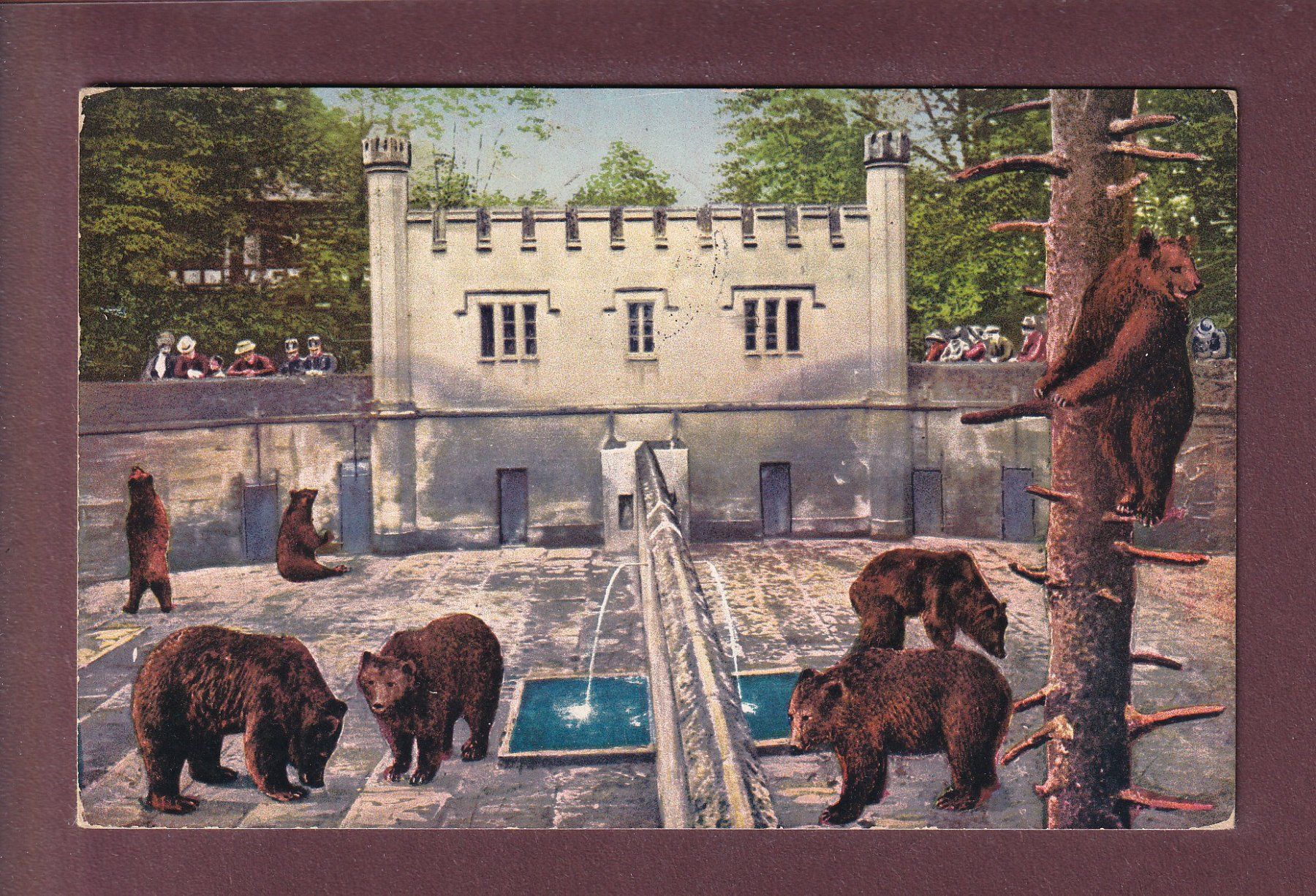Cartes postales: BERN - Bärengraben - 1914 – D'occasion à Pully par nicecards