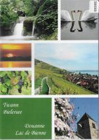 Twann Bielersee - Douanne Lac de Bienne