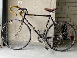 Peugeot Gold Special