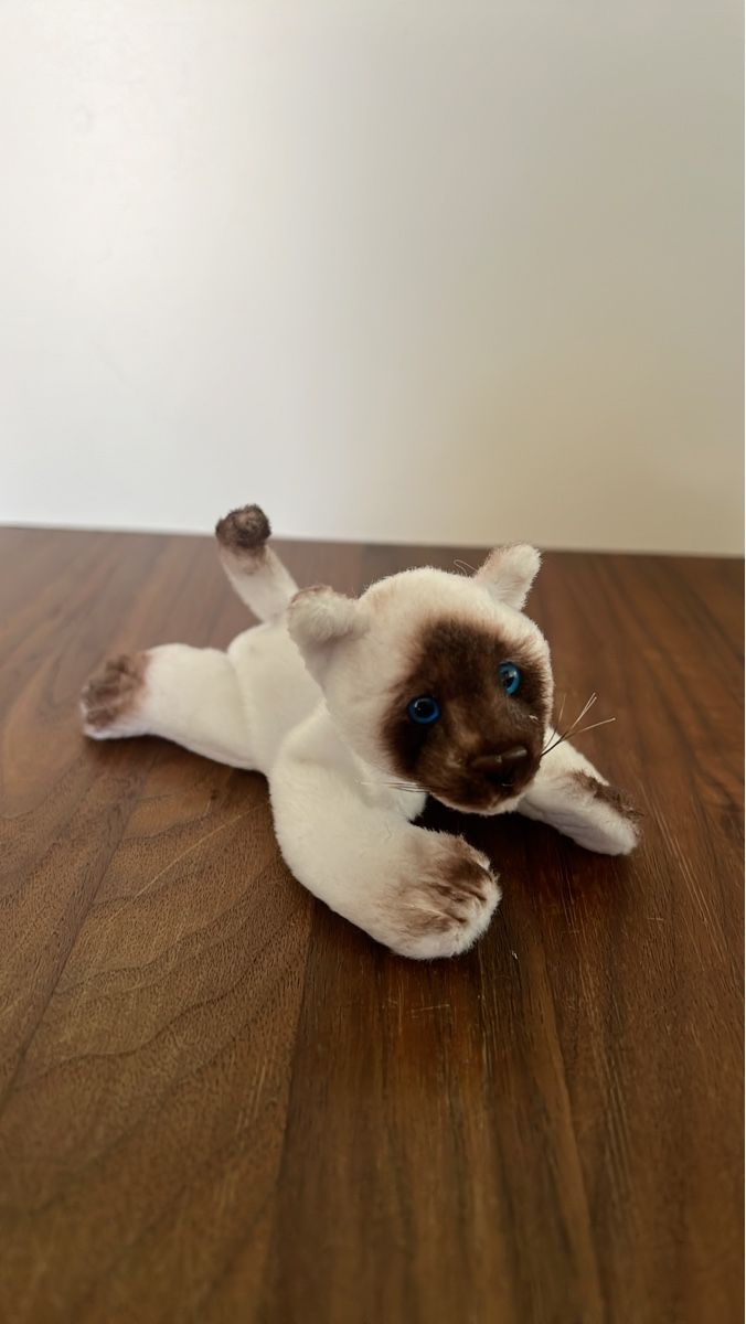 Jouets: Kleine Plüschtier Magnet Siam Katze – D'occasion à Altdorf UR par JanAil