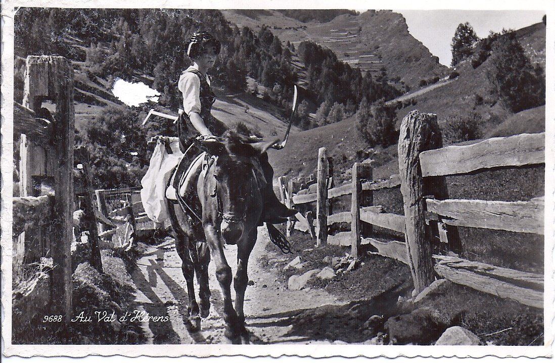 Cartoline postali: VAL D'HERENS, dame à dos de mulet – Usato da Les Verrières venduto da Scampi0