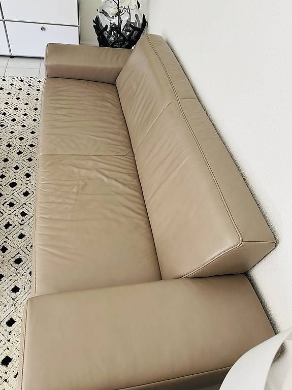 Koinor Divani: Sofa Echtleder – Usato da Küssnacht am Rigi venduto da duetri 3