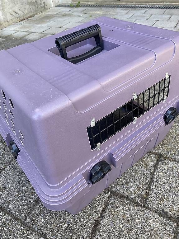 Cucce & Letti: Vario Kennel Hundbox – Usato da Gempenach venduto da Mittelpudel 2