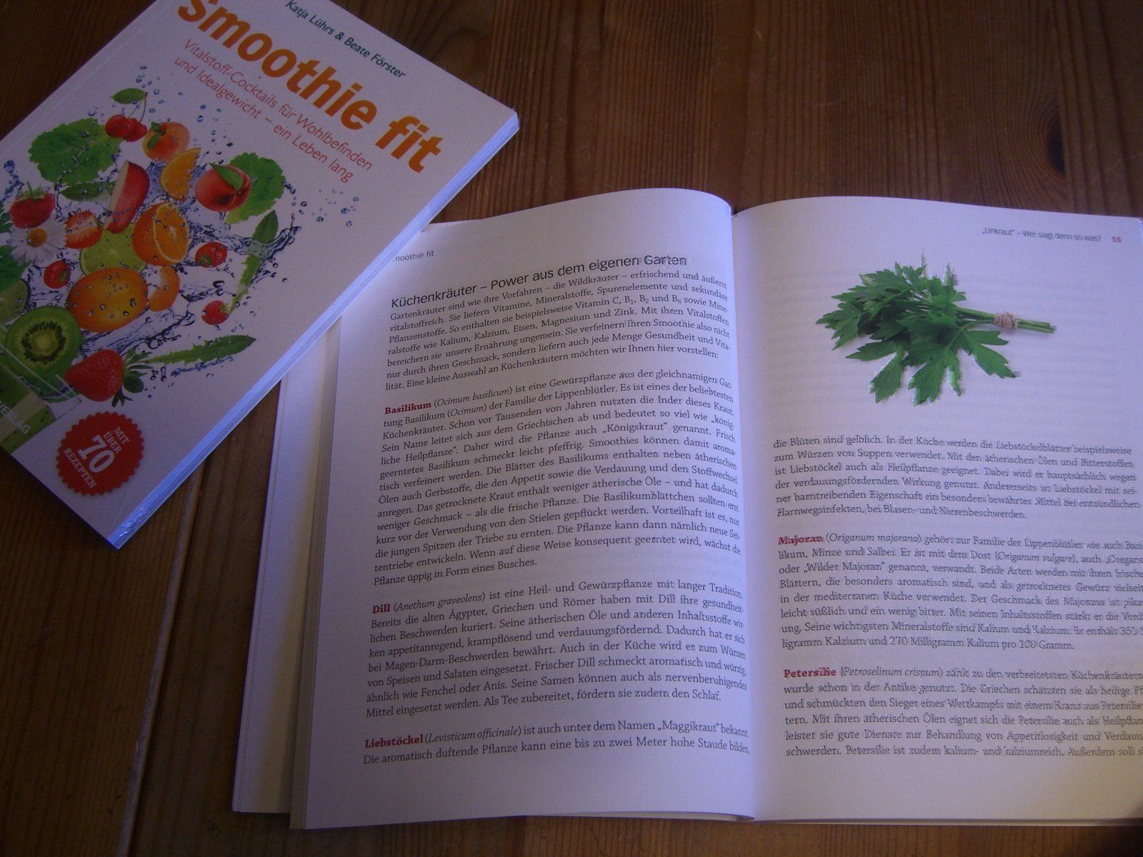 Libri: Buch "Smoothie fit" Vitalstoff-Cocktails – Nuovo e nell'imballaggio originale da Winterthur venduto da Gaia 7