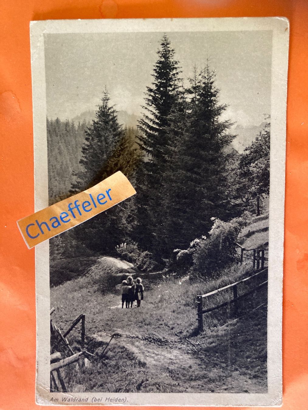 Ansichtskarten: 1921 Am Waldrand (bei Heiden) – Gebraucht aus Zürich von Chaeffeler