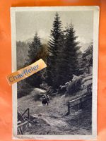 1921 Am Waldrand (bei Heiden)