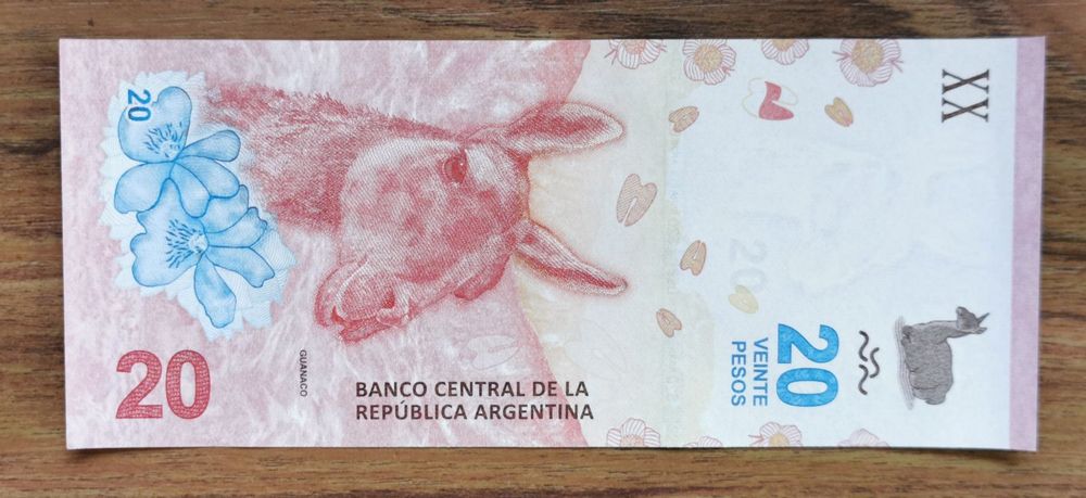 Argentinien – 1000 Pesos (1976-83) (P.304) Erh. UNC | Argentinien | Welt Banknoten Geldscheine
