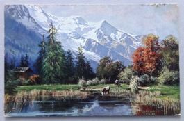 Paysage de montagne