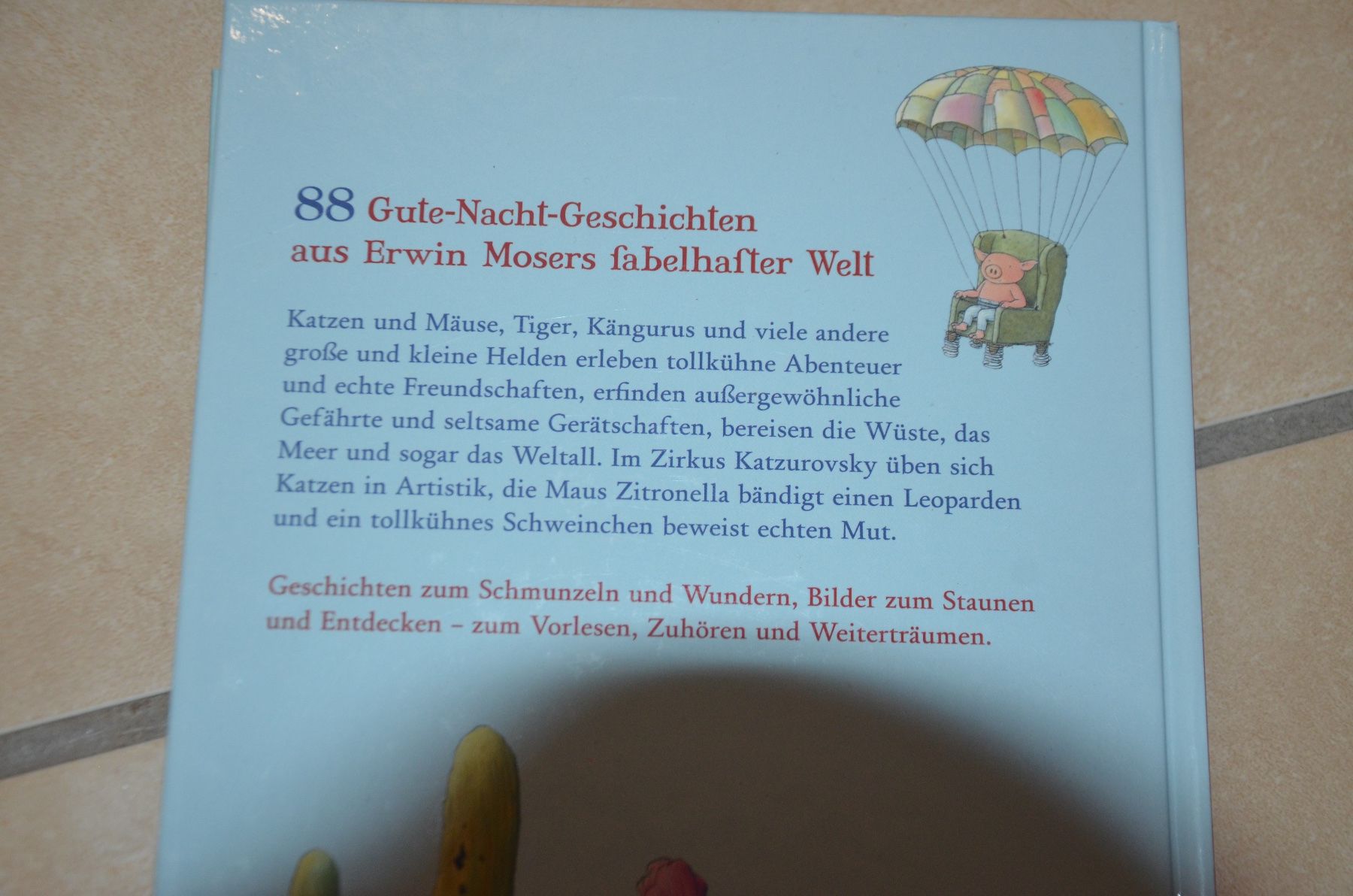 Libri: KINDERBUCH – Usato da Chiasso venduto da Dolly015 2