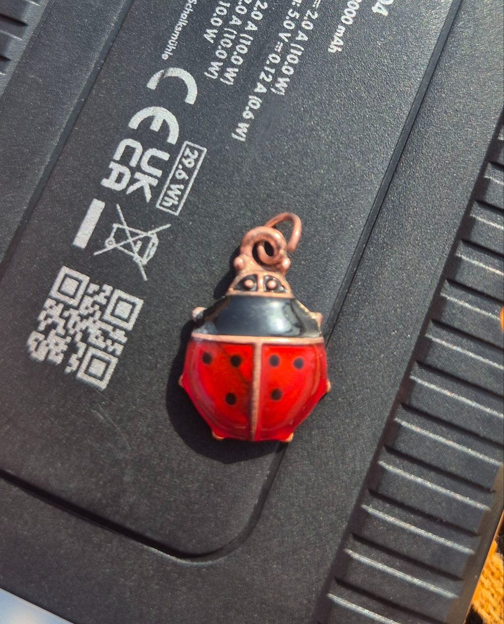 Anhänger: Marienkäfer Anhänger Charm Glücksbringer Marien Käfer – Gebraucht aus Dübendorf von Alessandro-DG