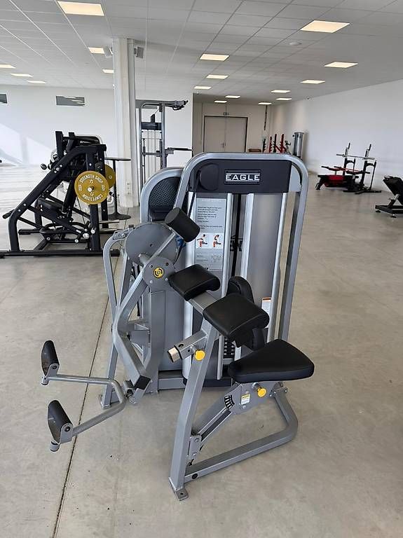 Cybex Hometrainer: CYBEX EAGLE ARM CURL / BIZEPS – Gebraucht aus Tägerwilen von chris.haller