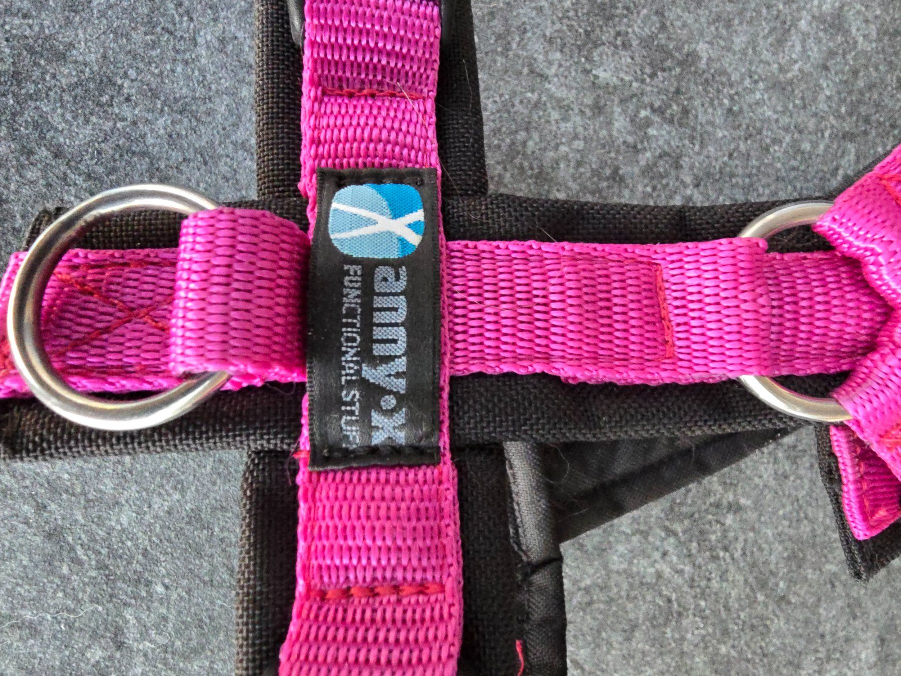 Set di piatti: Hundegeschirr Anny x – Usato da Merenschwand venduto da Juditha786 1